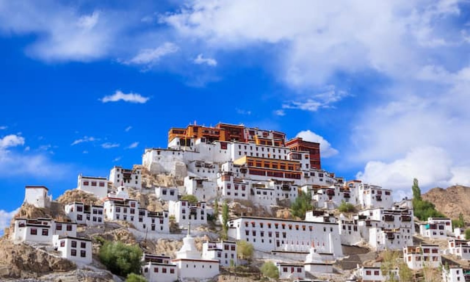 Thiksey_Gompa